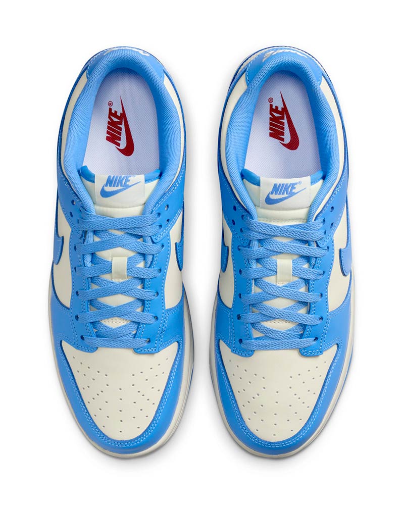 Tenis-Nike-Dunk-Low-Retro-Masculino