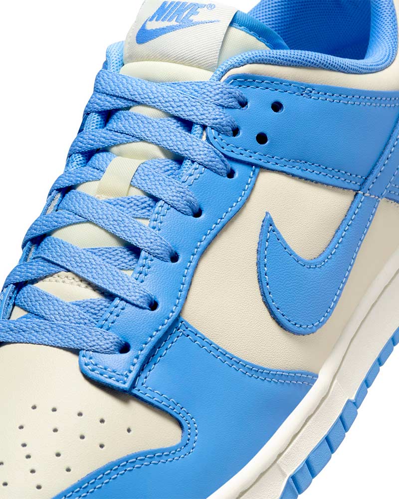 Tenis-Nike-Dunk-Low-Retro-Masculino