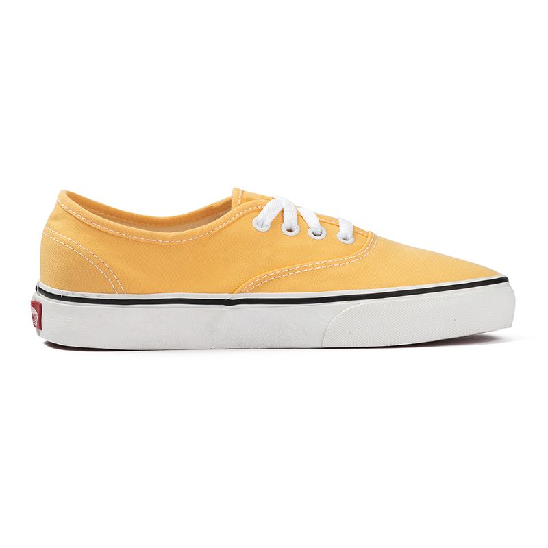 Tenis-Vans-Authentic