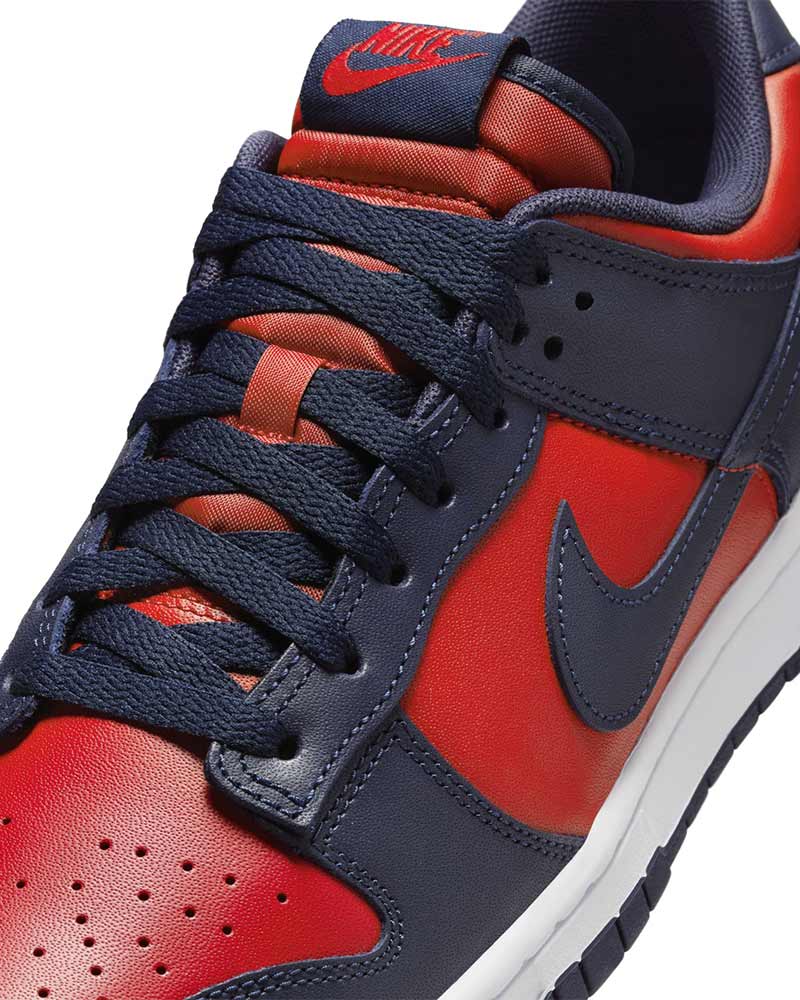 Tenis-Nike-Dunk-Low-Retro-Masculino