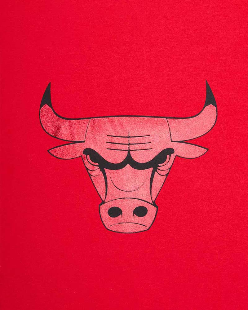 Camiseta-Nba-Chicago-Bulls-Infantil