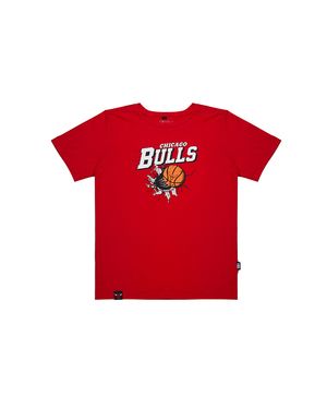 Camiseta Nba Chicago Bulls Infantil