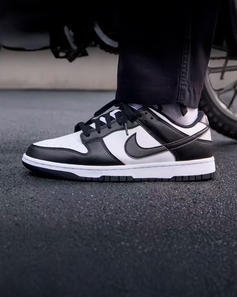 Tenis Nike Dunk Low Retro Masculino | Tenis e na Artwalk