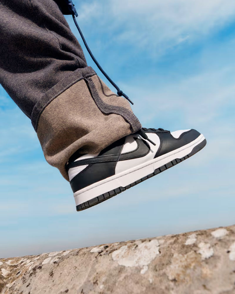 Tenis Nike Dunk Low Retro Masculino| Tenis e na Artwalk